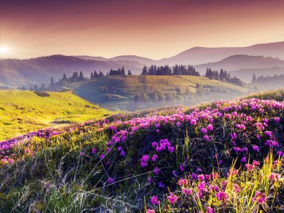 647e9366eec71.jpg 6690c6d4e9660e30006d5281ac140624.jpg