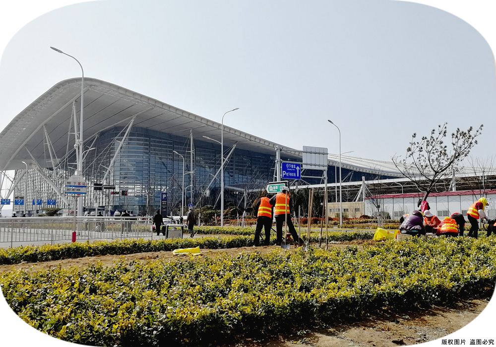 64a7c8f8c25bb.jpg 廣場02.jpg